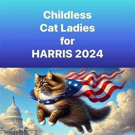 miserable childless cat lady meme.